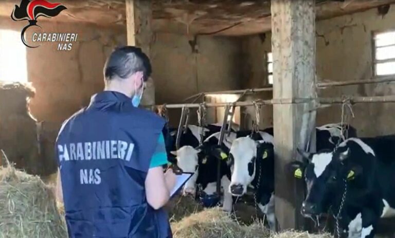 Indebita percezione di contributi agricoli, 4 misure cautelari