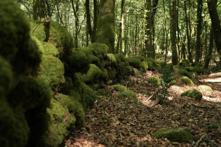 Aspromonte, nuovi ritrovamenti lungo antiche mura romane