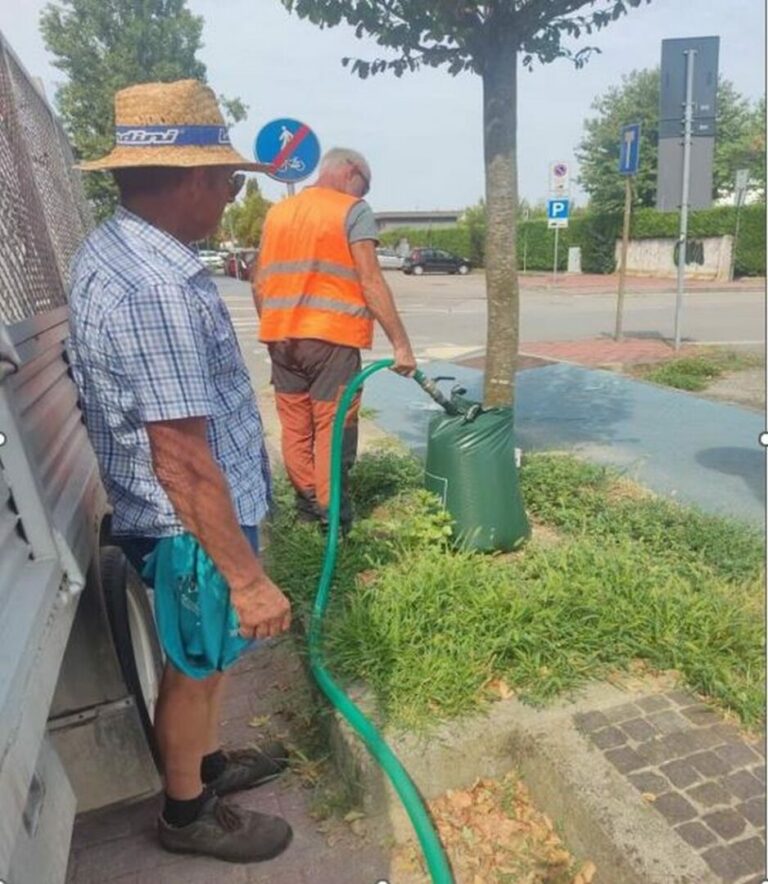 Assago, rivoluzione green con l’irrigazione sostenibile