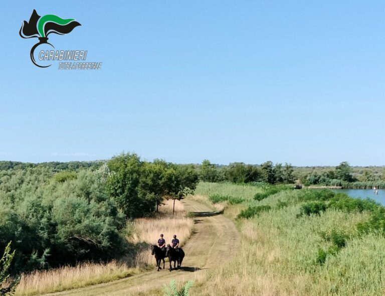 Carabinieri forestali a cavallo arrivano nelle aree naturalistiche