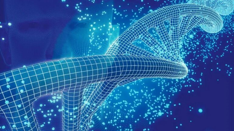 Unical, ok al nuovo corso di laurea in Ingegneria Biomedica