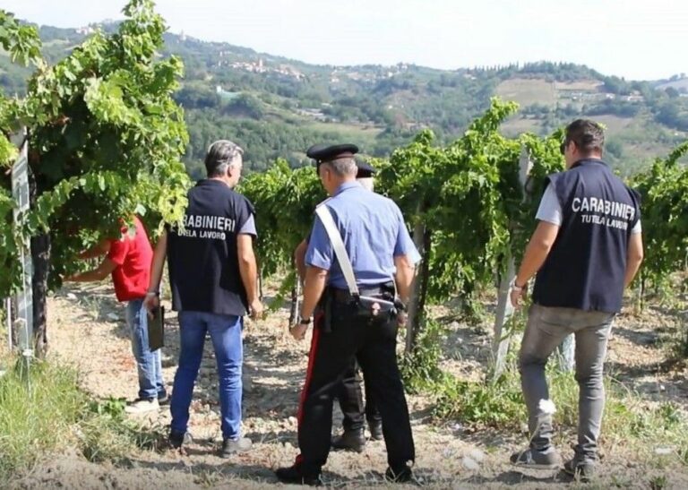 Scoperti sei lavoratori in nero nelle campagne di Caivano, due denunce