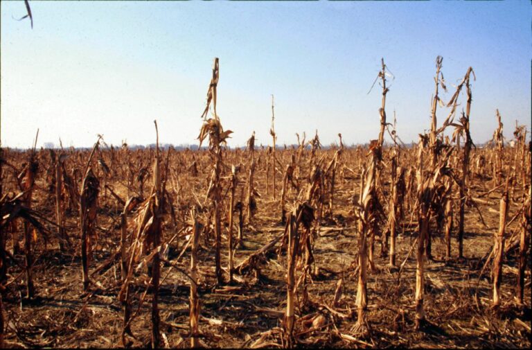 Tunisia, alarming situation due to water shortage