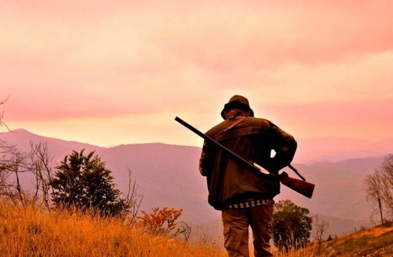 Nuova stagione venatoria in Calabria con il tesserino elettronico
