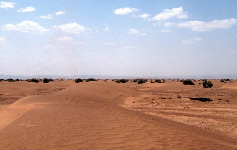 Sahara, la Finlandia sostiene il piano autonomia del Marocco