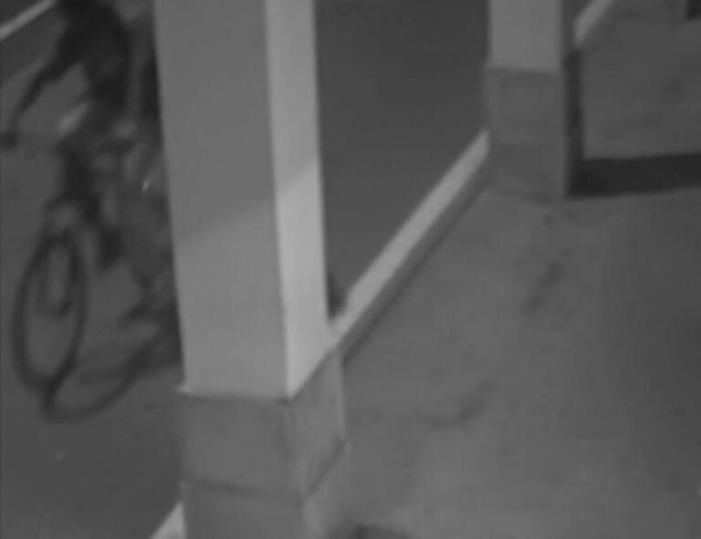 توقيف شخص يبلغ 31 سنة في جريمة مقتل فيرزيني