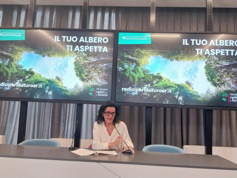 Entro il 2025 saranno circa 3,7 milioni i nuovi alberi piantati