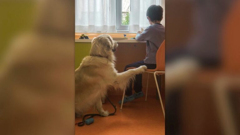 Purina insieme a Frida’s Friends per la Pet Therapy al Fatebenefratelli