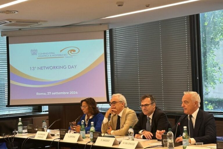 Dal Checco “With Piano Mattei possible growth opportunities”