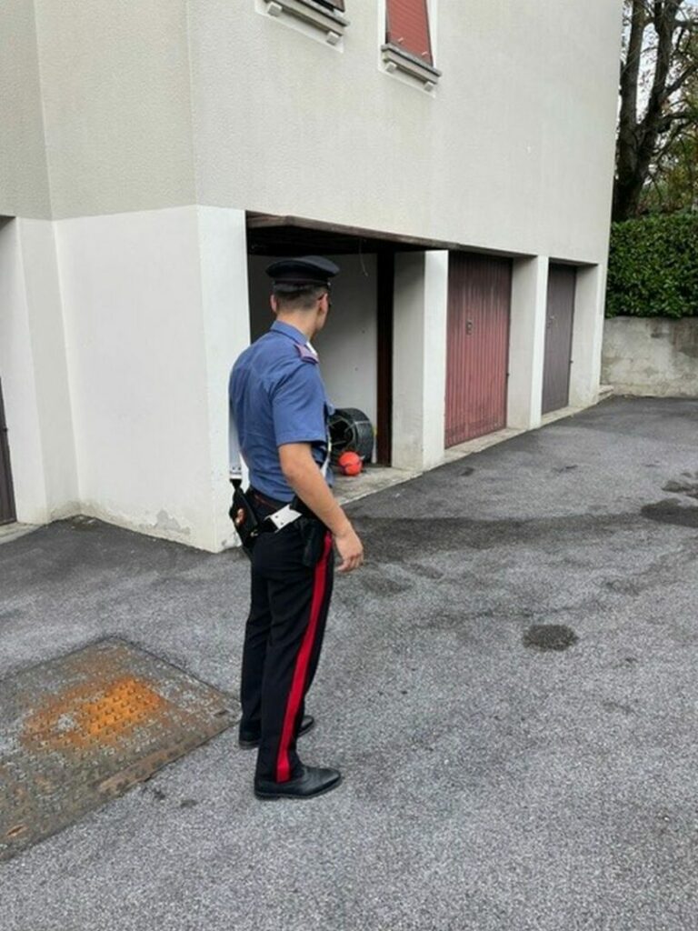 Omicidio Viadana, Gip dispone custodia cautelare in carcere del minore