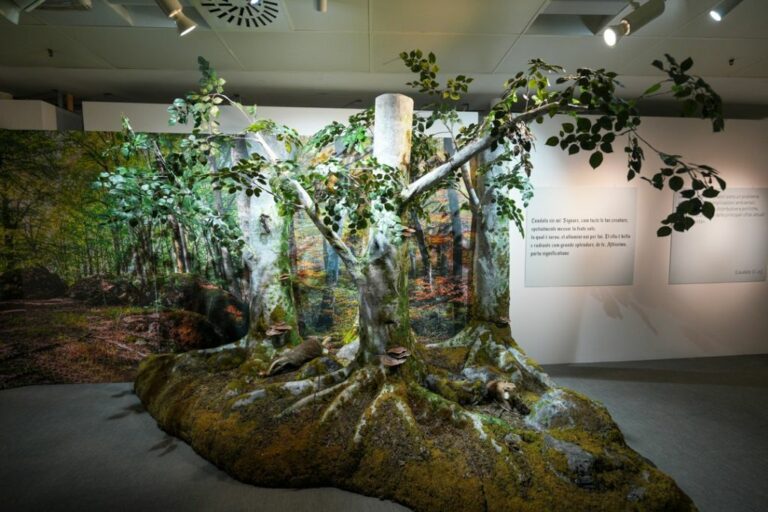 A Milano mostra “Cum Tucte”, occasione per confronto tra uomo e ambiente