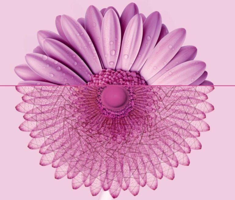 Al via nel Lazio ottobre rosa per la diagnosi precoce dei tumori al seno