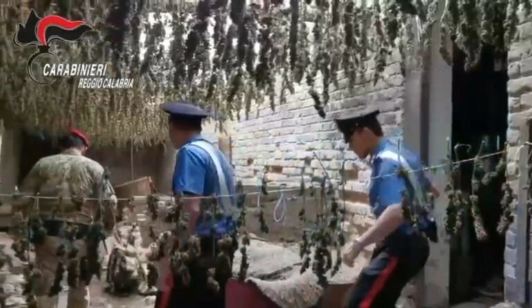 Bidoni con 2.5 quintali di droga interrati nel reggino, arrestato 44enne