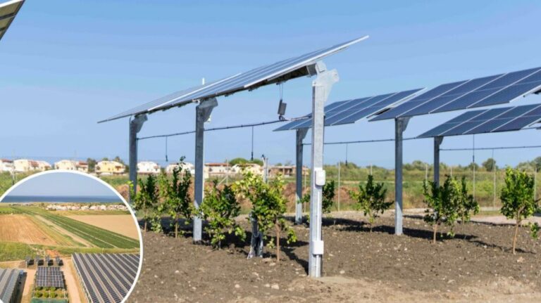 Agrivoltaico, al via impianto hitech Enea/Ef solare Italia in Calabria