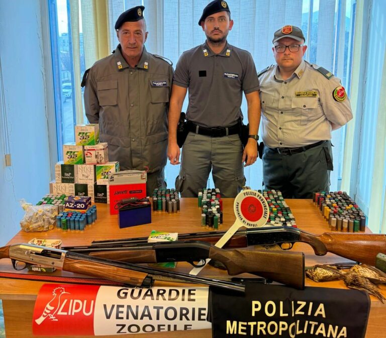 Denunciati tre bracconieri nel Napoletano, sequestri e multa di 154 euro