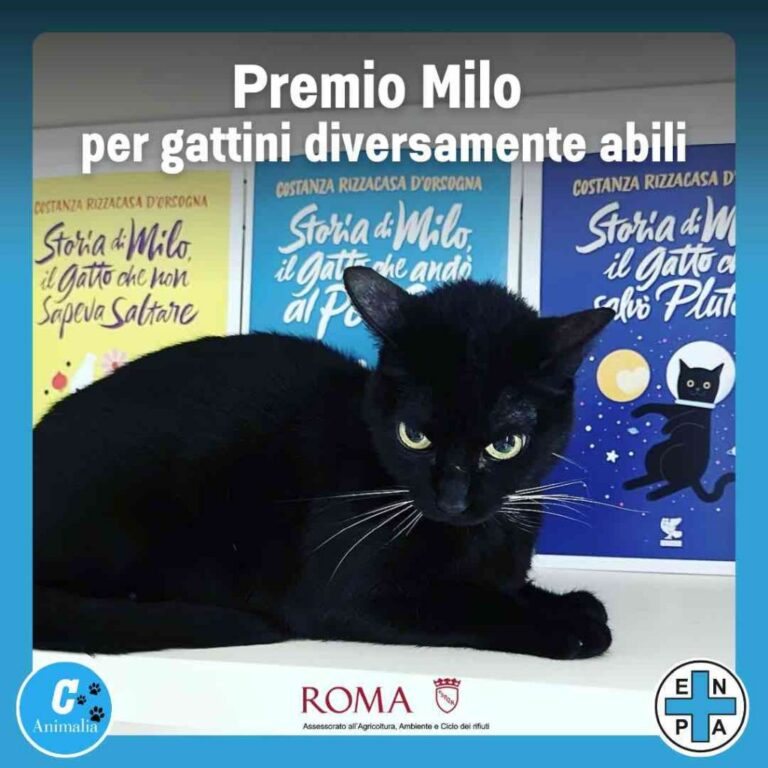 Roma, Assessorato Agricoltura e Ambiente patrocina il “Premio Milo”