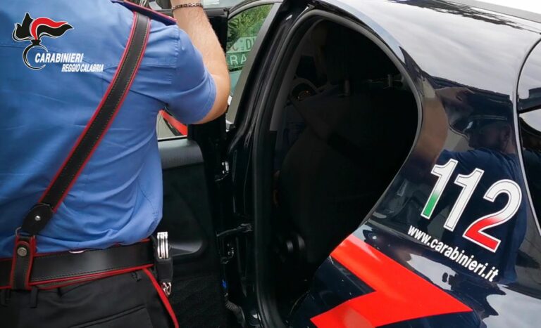 Senza licenza e farmaci scaduti, chiuso ambulatorio veterinario nel reggino