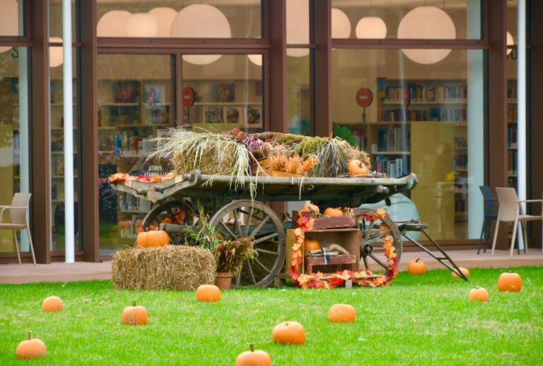 Ritmi arancio in Vez, in arrivo le proposte autunnali