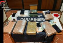 Stroncato traffico di droga tra Calabria e Nord Italia, 7 misure cautelari