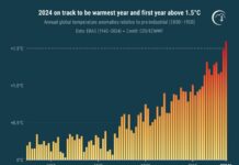 Allarme Copernicus, il 2024 sarà l’anno più caldo di sempre