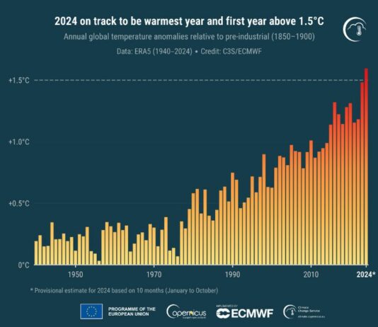 Allarme Copernicus, il 2024 sarà l’anno più caldo di sempre