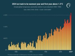 Allarme Copernicus, il 2024 sarà l’anno più caldo di sempre