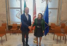 Italy-Tunisia, focus on renewable energy and vital raw materials
