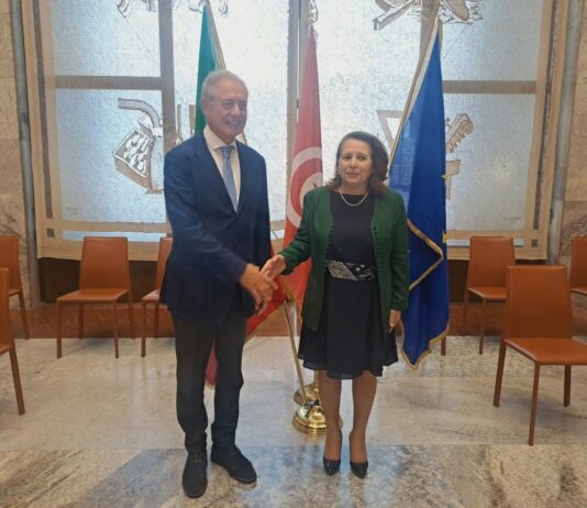 Italy-Tunisia, focus on renewable energy and vital raw materials