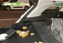 Milano, controlli Polizia Locale in zona Corvetto. Denunce e sequestri