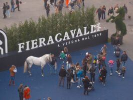 A Fieracavalli 140 mila visitatori da 73 Paesi